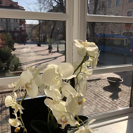 Tiltu 5 Jacuzzi Apartment Klaipeda Luaran gambar