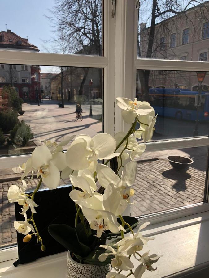 Tiltu 5 Jacuzzi Apartment Klaipeda Luaran gambar